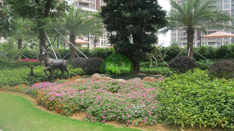 果岭草草坪养护，这些工具不可或缺**