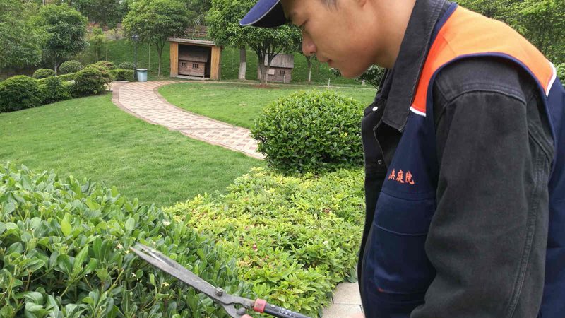 农村小庭院设计：五大注意事项打造宜居空间