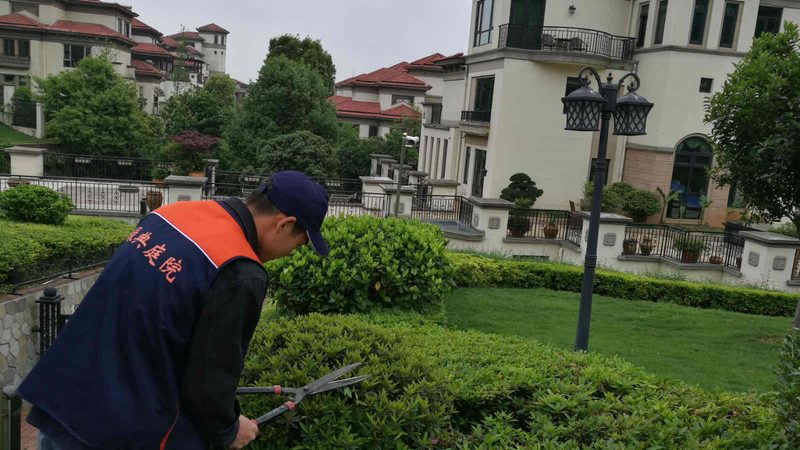 屋顶绿化：城市绿色建筑的必备选择