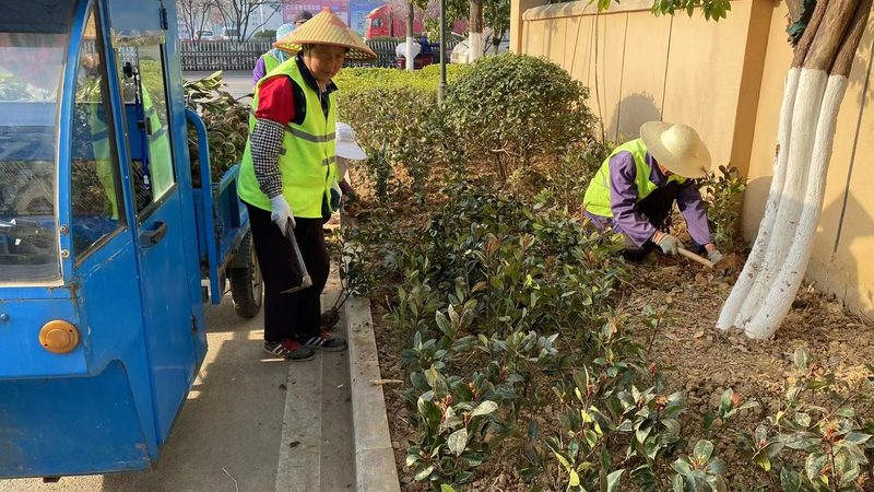 边坡喷播植草与挂网喷播区别解析