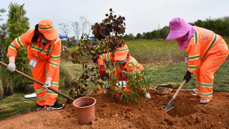 立体绿化灌溉系统施工资质要求解析