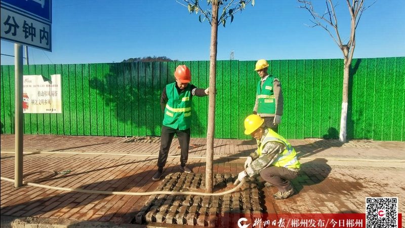 园林景观设计规范施工图标准：关键要素与实施要点