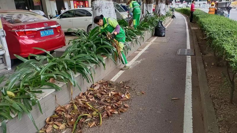 屋顶绿化基质铺设，这些施工方法才靠谱