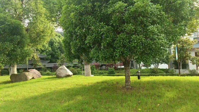 绿化养护服务标准与规范：保障园林品质的关键