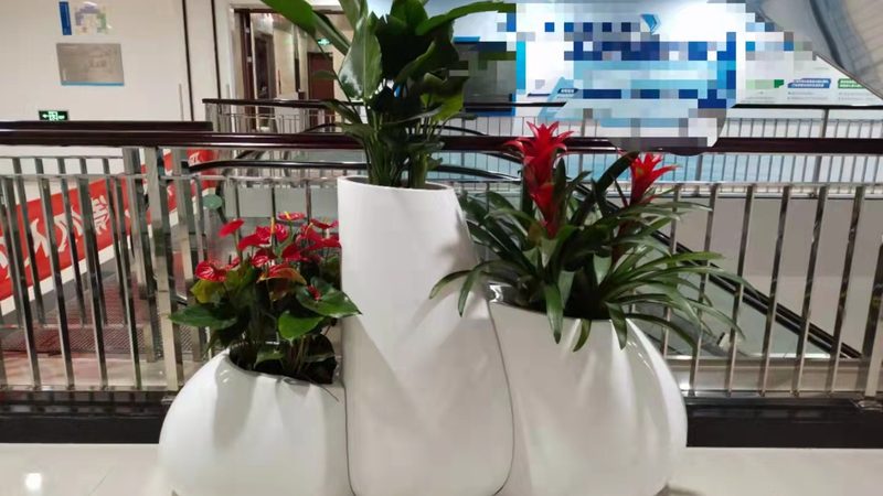 河道边坡绿化，这些细节决定成败