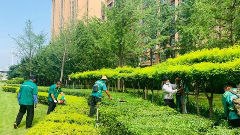 绿植租赁选植物，别被“好看”带偏了