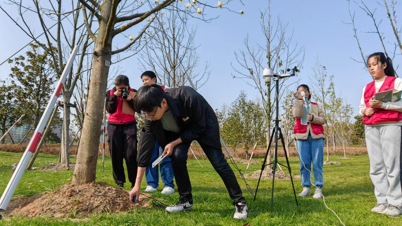 上海苗木种植工期解析：影响因素与实际案例**